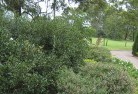 Whitfield VICresidential-landscaping-35.jpg; ?>