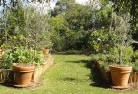 Whitfield VICvegetable-gardens-3.jpg; ?>